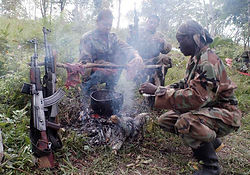 パラミリタリー